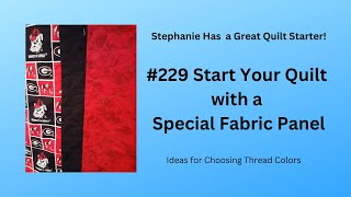 229 Start Your TwinFull Quilt with a Special Fabric Panel Sewn on the Sewing Machine [upl. by Einavoj]