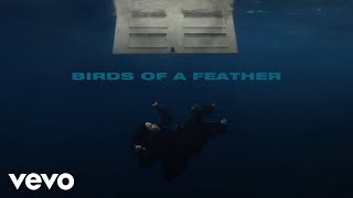 Billie Eilish  BIRDS OF A FEATHER Official Lyric Video [upl. by Chaddy]