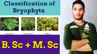 Classification of Bryophyta [upl. by Mccurdy]