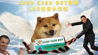 SOL CASHCASHBOT教學 [upl. by Amati]