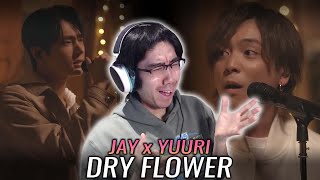 Jay ENHYPEN엔하이픈 x Yuuri 優里  Dry Flower Duet First Watch amp Reaction [upl. by Chadabe]