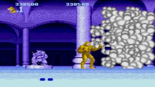 Altered Beast GEN Level 4 [upl. by Tennaj]