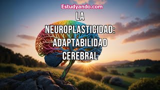 La Neuroplasticidad adaptabilidad cerebral [upl. by Srednas]