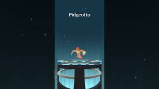 Evolve Pidgey To Pidgeotto pokemon pokemongo [upl. by Kawasaki]