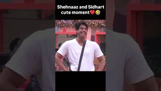 sidnaaz sehnaazgill sidharthshukla biggboss13 shorts viralvideo [upl. by Ietta49]