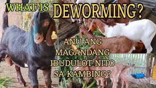 WHAT IS DEWORMING [upl. by Ahsan]