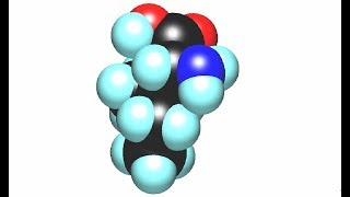 Isoleucine  Energy Blood Sugar Hemoglobin Wound Healing Detox Immunity Hormones [upl. by Armmat]