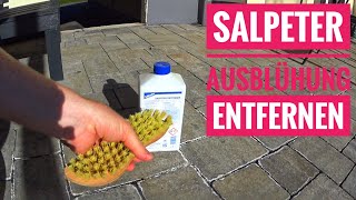 Wie entferne ich Salpeter Ausblühungen auf Terrassenpflaster [upl. by Burta]