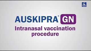 Intranasal Vaccination Procedure [upl. by Perreault426]