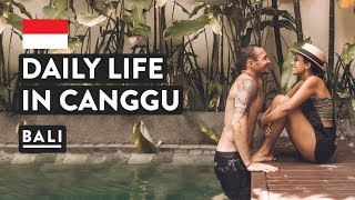 SNAKES IN BALI  DAY IN THE LIFE CANGGU  Indonesia Travel Vlog  Digital Nomad [upl. by Ayoted]