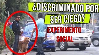 Experimento social Discriminacion a ciegos con perro guia  Mensajeros urbanos [upl. by Liddy]