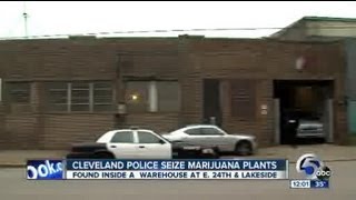 Noon Marijuana bust in Cleveland [upl. by Algy]