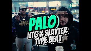 FREE NTG X SLAYTER TYPE BEAT  PALO [upl. by Ardnosak]