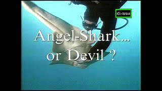 Historias del Mar Tiburón ángel o demonio  Documental 1998 Español Latino [upl. by Willock]