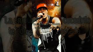 Limp Bizkit  Why Try quotVideo Cortoquot [upl. by Nikolas]