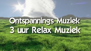 ontspanningsmuziek rustgevende muziek relax muziek met je lichaam en geest mediteren [upl. by Fridlund495]