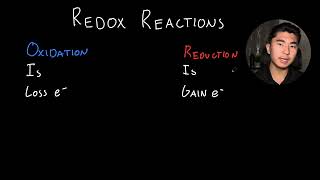 Everything about Redox reaction [upl. by Yezdnil267]