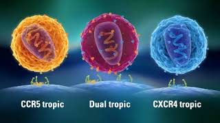 Resistance HIV amp AIDS  CCR5 amp CXCR4 Eng CCR5delta32  CCR5 tropic Dual tropic CXCR4 tropic [upl. by Standice]