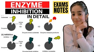 enzyme inhibition biochemistry  reversible inhibition  noncompetitive amp competitive inhibition [upl. by Orva]