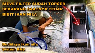 BUDIDAYA PEMBESARAN IKAN NILA DI KOLAM BETON SISTEM RAS DENGAN SIEVE FILTER SYSTEM TERBARU 2024 [upl. by Tadd]