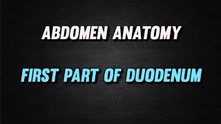 DUODENUM  FIRST PART OF DUODENUM  ABDOMEN ANATOMY  BDC  ftxenos [upl. by Herwin]