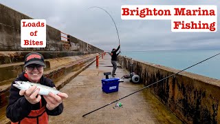 Brighton Bites Fishing on the Marina [upl. by Whalen]