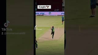 Eagle 🦅Shaheen Afrdi shaheenafridi cricket pakistan india worldcup t20worldcup babarazam [upl. by Zzahc]