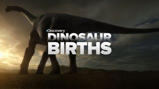 How Dinosaurs Are Born [upl. by Eadnus]