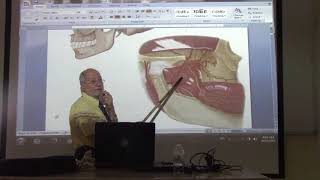 Anatomy of head amp neck 34  Temporal amp infratemporal fossae  part 1   by Dr Wahdan [upl. by Leima]