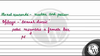 Explain the pollination mechanism involved in coevolution of the two species namely Ophrys or [upl. by Ayal]