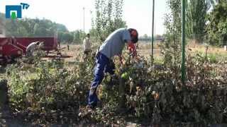 Producción de Compost en la ETSI Agrónomos de Madrid [upl. by Yeoz]