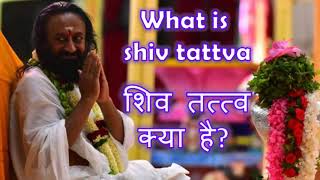 What is Shiv Tatva  Talks by Sri Sri Ravi Shankar in Hindi  Aol Ambala [upl. by Furlani113]