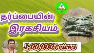 தர்ப்பையின் ரகசியம்  tharpai Ragasiyam in Tamil [upl. by Kristy]