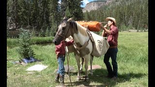 How to Load a Packhorse [upl. by Oirevlis]