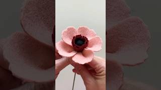 Felt flower anemone feltflower flower [upl. by Ilahsiav5]