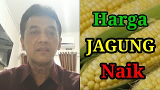 Harga Jagung Naik Inflasi di Tingkat Pedagang Besar [upl. by Colt]