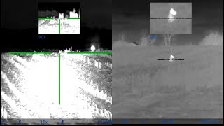 Spring coyote hunting double down Thermal VS Night vision [upl. by Romelda]