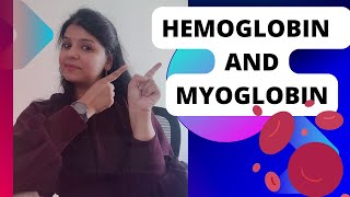 Hemoglobin and Myoglobin protein functioning neet csirnet bsc hemoglobin myoglobin [upl. by Asiluj736]