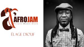 ELAGE DIOUF at AfroJam [upl. by Trilby]