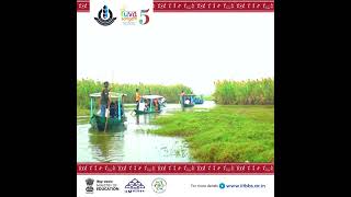 Yuva Sangam delegates explored Manglajodi village adopted by IIT Bhubaneswar amp iconic Chilika Lake [upl. by Gastineau]