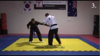 Tans Hapkido  S10 Joint sparring [upl. by Sakhuja574]