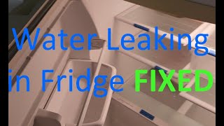 Fridge Leaking Water Inside  FIXED [upl. by Auqinet]