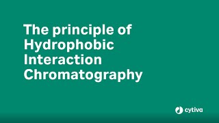 Principles of Hydrophobic Interaction Chromatography [upl. by Atineg370]