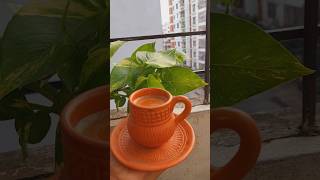 সকালের সুন্দর চা  Taking tea  wintervibes morningtea takingtea viralvedio [upl. by Sennahoj]