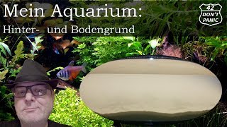 Hinter und Bodengrund  Mein Aquarium 6 [upl. by Rab825]