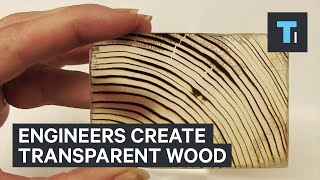 Engineers create transparent wood [upl. by Figueroa]