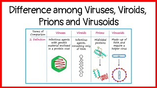 Difference among viruses viroids prions and virusoids  basicappliedmicrobiology [upl. by Shari]