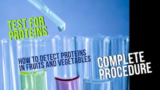 Test for ProteinsNinhydrin test Qualitative phytochemical screening  part 4 [upl. by Nodnalb]