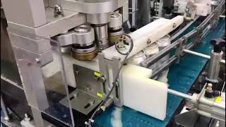 Inline beverage Can Filling Machine Capper and Rinser [upl. by Mathia359]