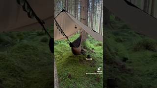 Hammock camping in another beautiful forest wildcampingscotland hammock shorts scotland [upl. by Alby947]